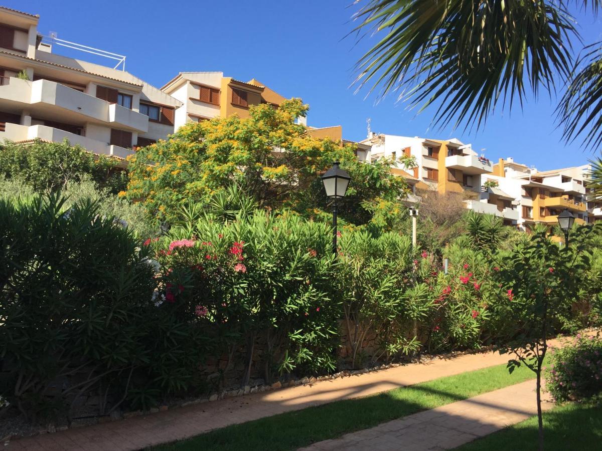 Torrevieja 200M From Sea Punta Prima Lejlighed Alicante Eksteriør billede